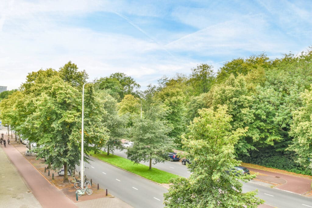 Bezuidenhoutseweg 251 - 7