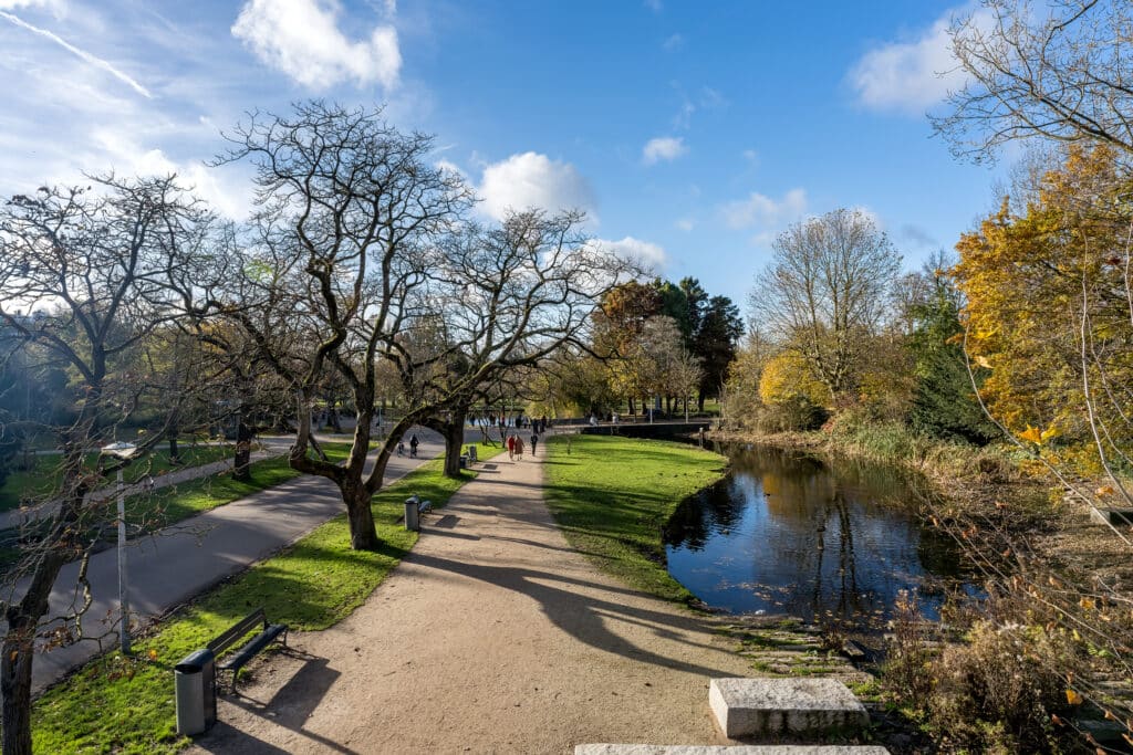 Romer Visscherstraat 31 (50)