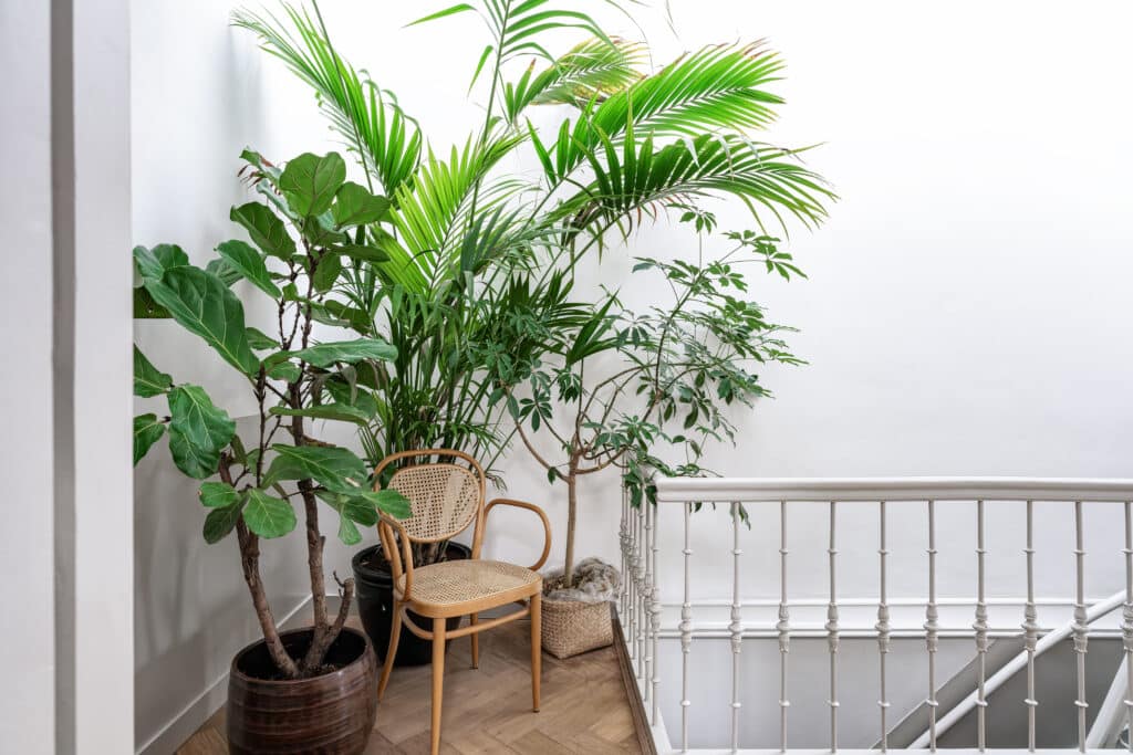 Sarphatikade 20-2 (25)